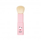 �ݥ���å�������ɮ���������ѥ֥饷 pochacco