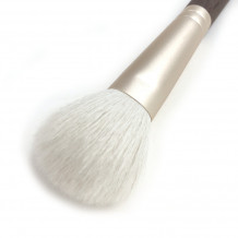 դդ֥饷CHEEK004/03 ̿2